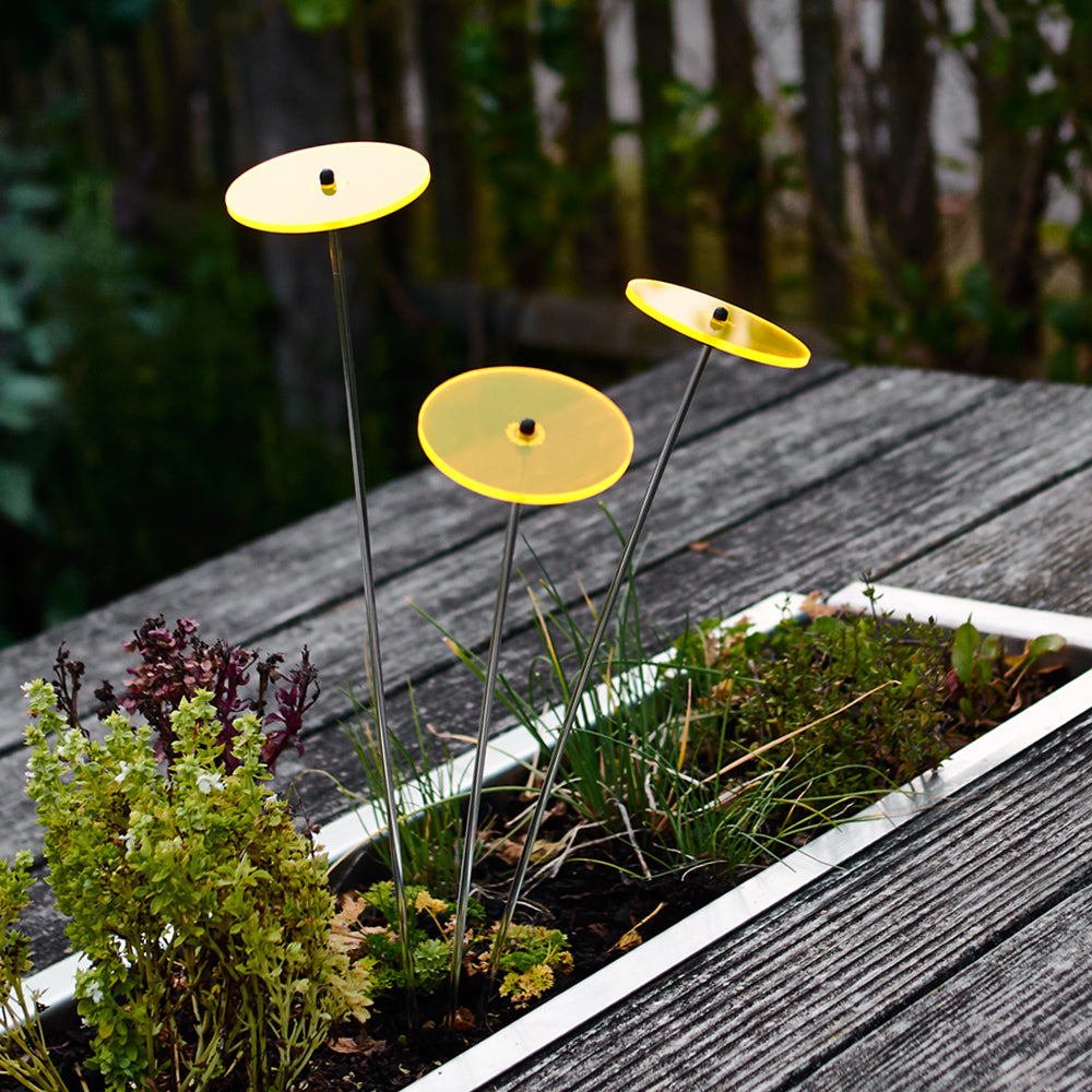 Mini-Cazadore Sun Catcher