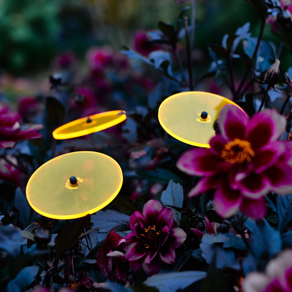 Mini-Cazadore Sun Catcher