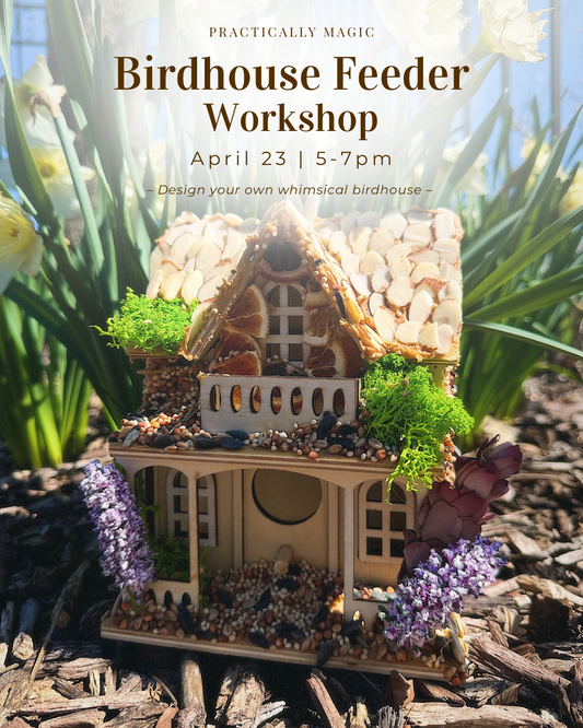 Birdhouse Feeder