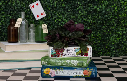 Alice in Wonderland Stacked Book Planter