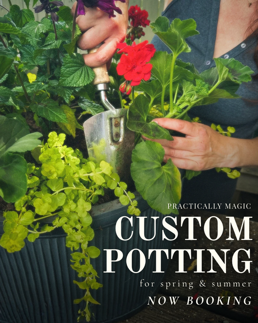 Custom Potting