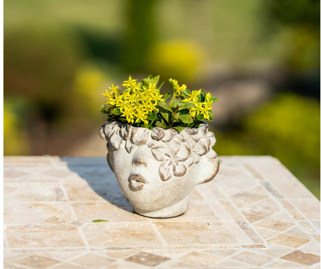 Peck on the Cheek Planter