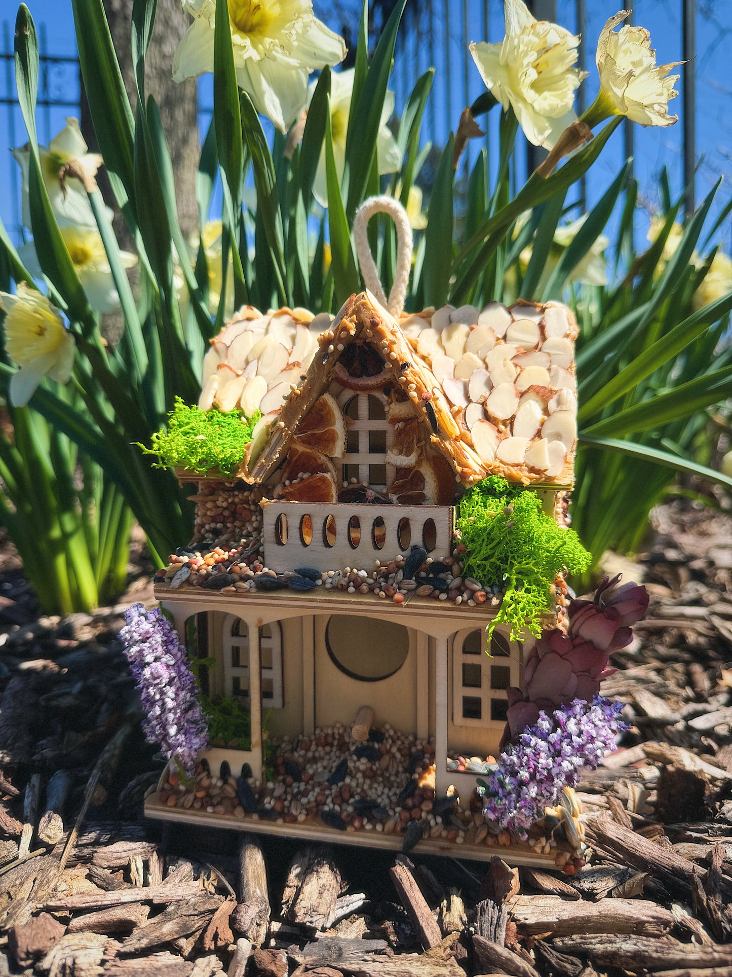 Birdhouse Feeder